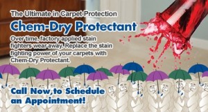 Carpet Cleaning Willits